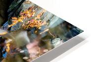 Mountain River I HD Metal print
