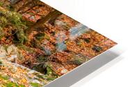 Mountain River IV HD Metal print