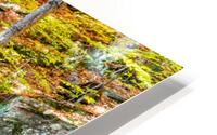 Mountain River V HD Metal print