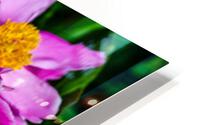 Peony Flowers HD Metal print