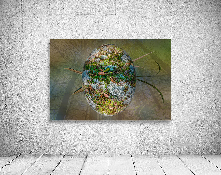 Abstract -  Forest Egg Wall Preview