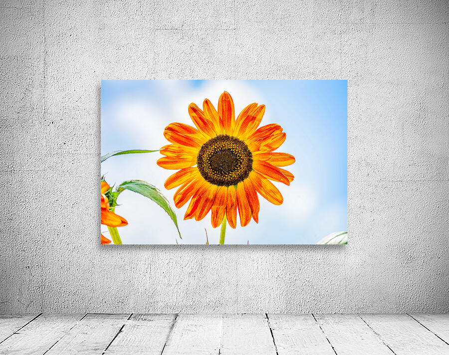 Sunflower 2 Wall Preview