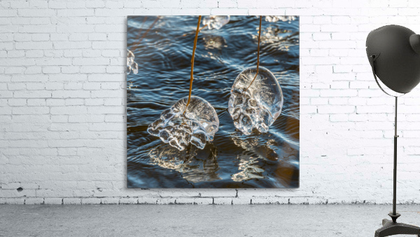 Winter Creations III Wall Preview