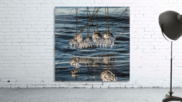 Winter Creations II  Wall Preview