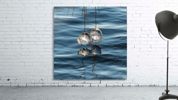 Winter Creations I Wall Preview