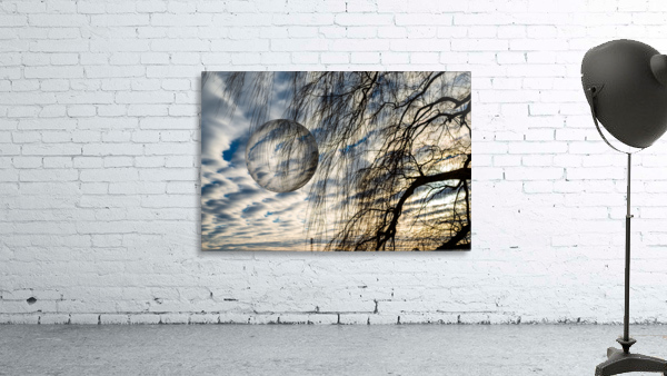 Abstract - Capture I Wall Preview