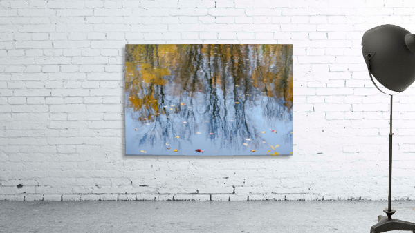 Abstract - Water Reflections Wall Preview
