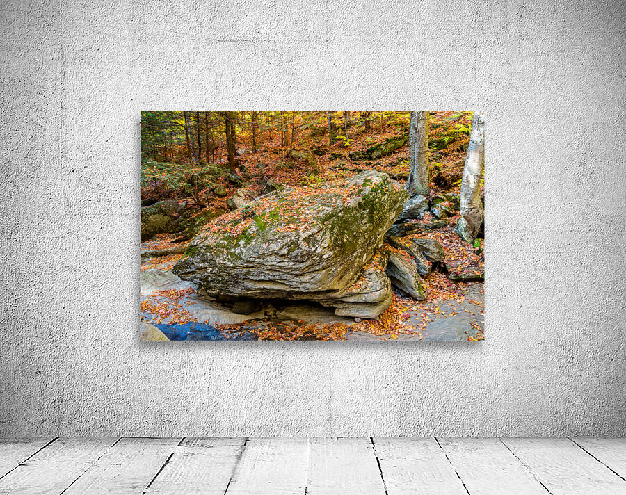 Mountain River III Wall Preview