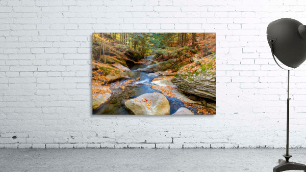Mountain River IV Wall Preview