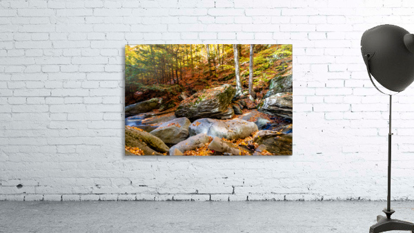 Mountain River V Wall Preview