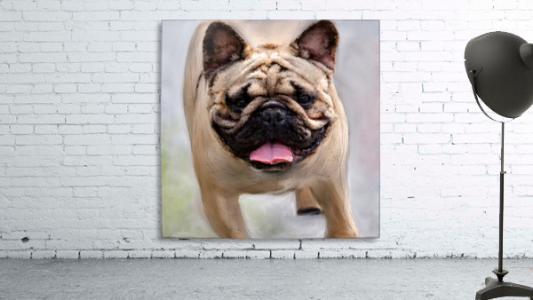 Dog Wall Preview