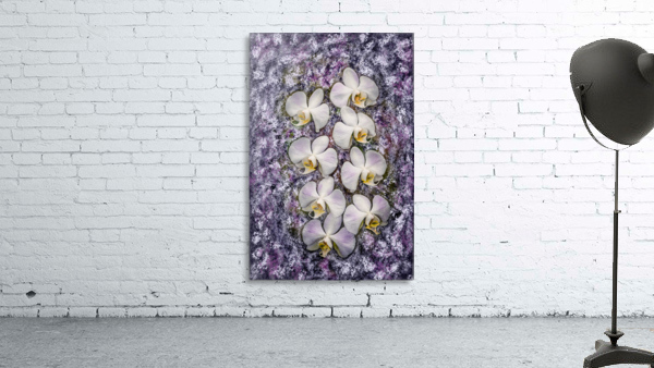Stylish Orchids Wall Preview