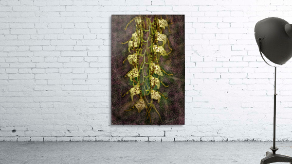 Stylish Orchids Wall Preview