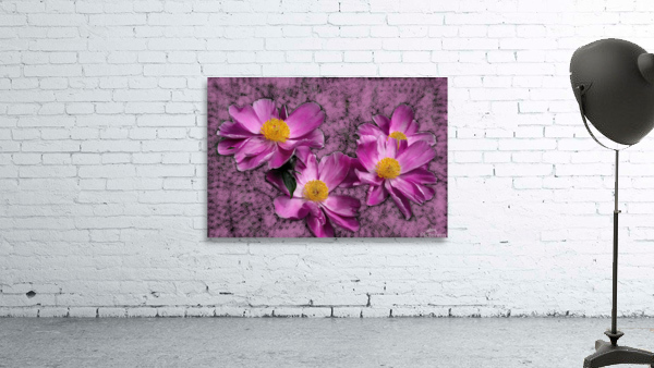 Peony Flowers Wall Preview
