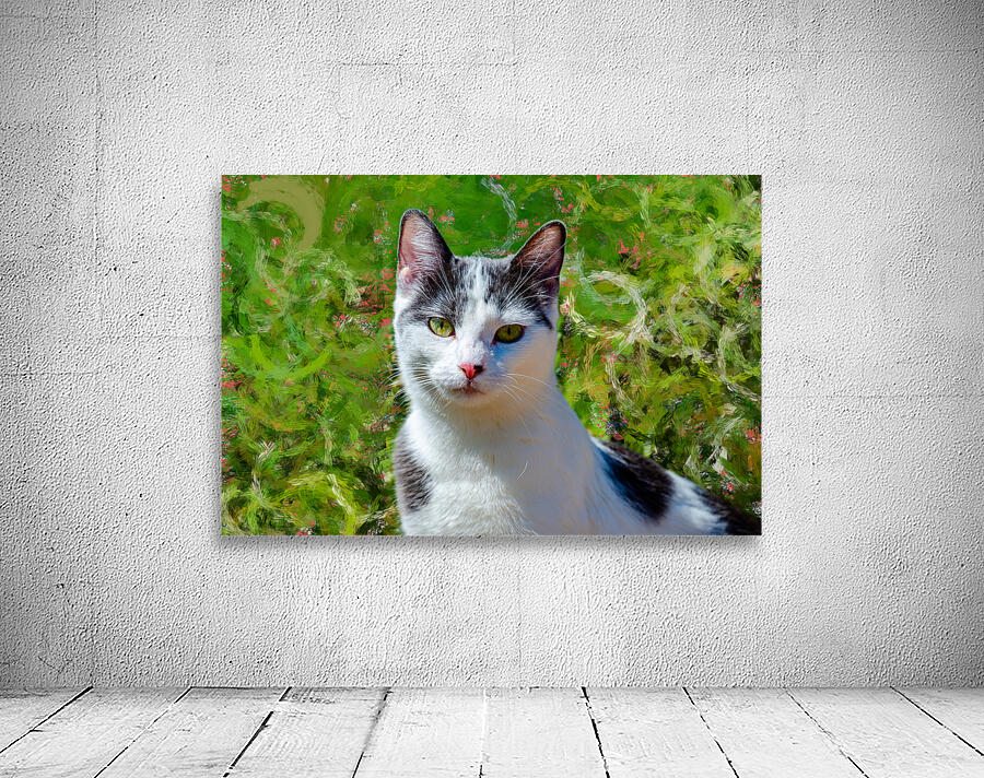 Simply Cat Wall Preview
