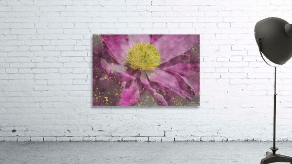 Peony Wall Preview