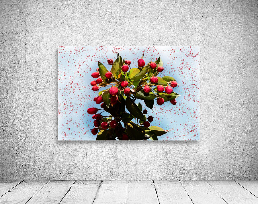 Apple tree Blooming Wall Preview