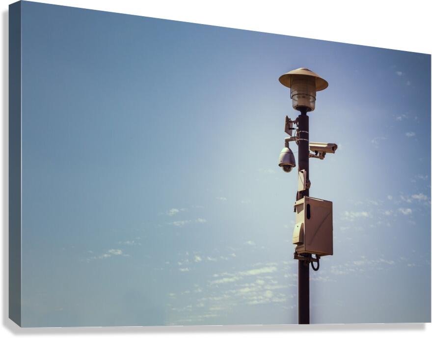 The Big brother Canvas Print