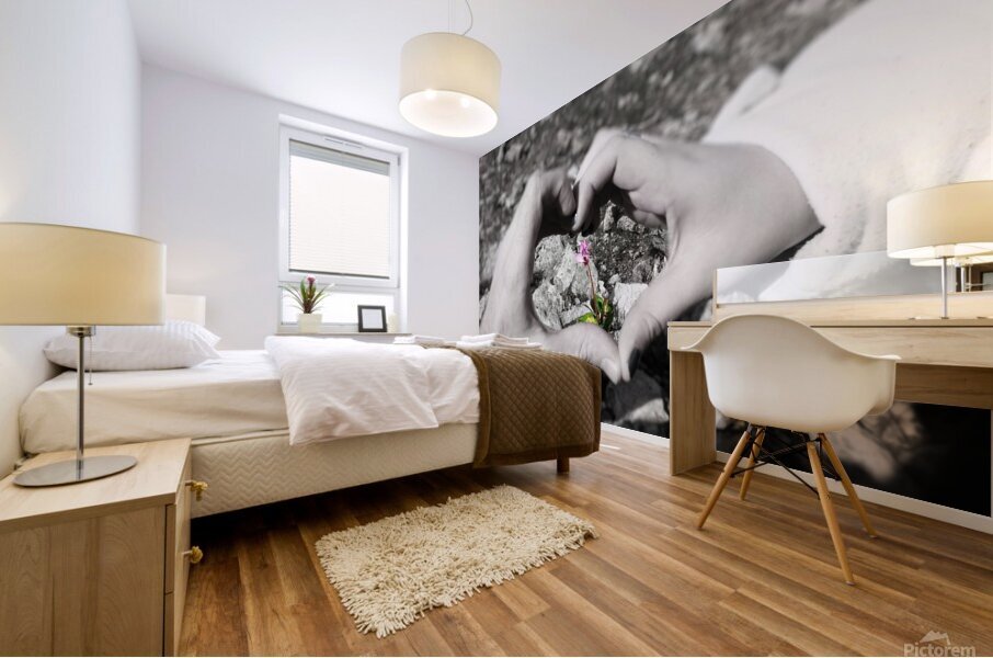 Pink Love Mural print