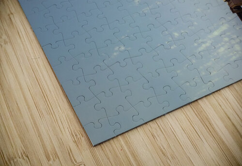 The Big brother Maor Winetrob puzzle