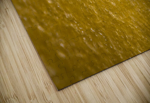 Yellow Peppers kernel under the microscope Maor Winetrob puzzle