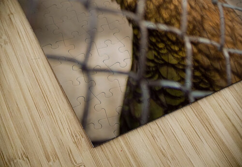 Bird in Cage Maor Winetrob puzzle