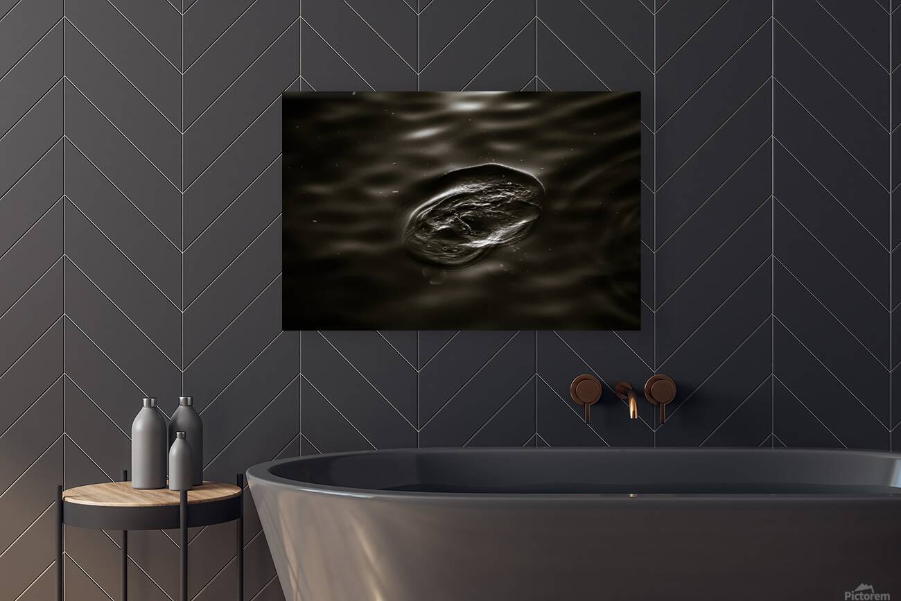 Dark Water Reproduction