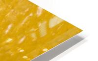 Yellow Peppers kernel under the microscope HD Metal print