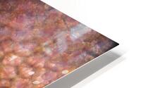 Tomato under the microscope HD Metal print