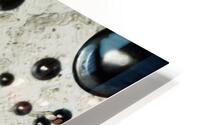 Water bubbles under the microscope HD Metal print