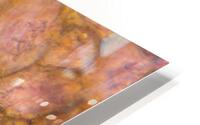Tomato under the microscope HD Metal print