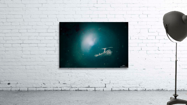 Abstract colorful background Wall Preview