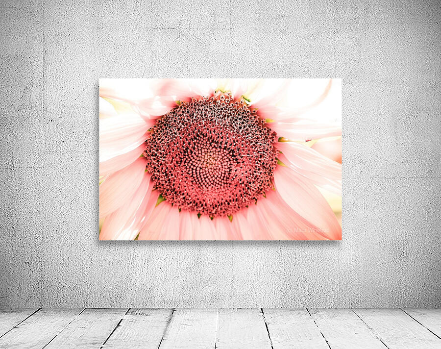 Infra Sunflower Wall Preview