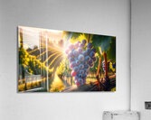 Grapes from Tuscany Acrylic Print