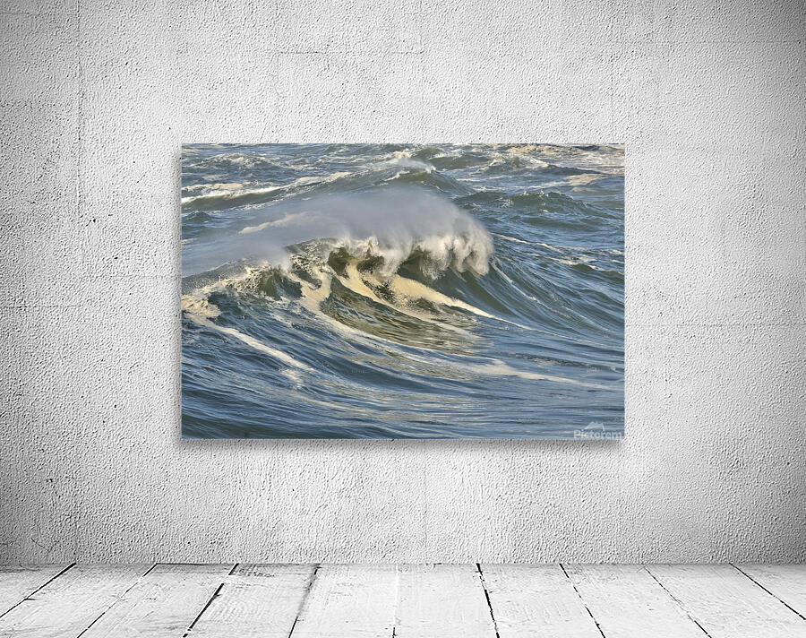  22A4575 Wall Preview