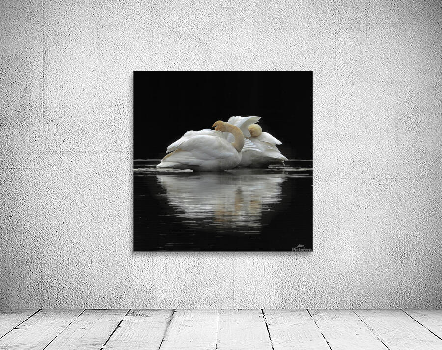 DSCN3713 Wall Preview