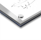 Poa artica Acrylic print