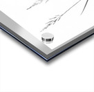 Poa labradorica Acrylic print