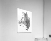 Fragment dun monde inconnu 4 Acrylic Print