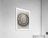 Mandala 5 Acrylic Print