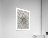 Mandala 7 Acrylic Print