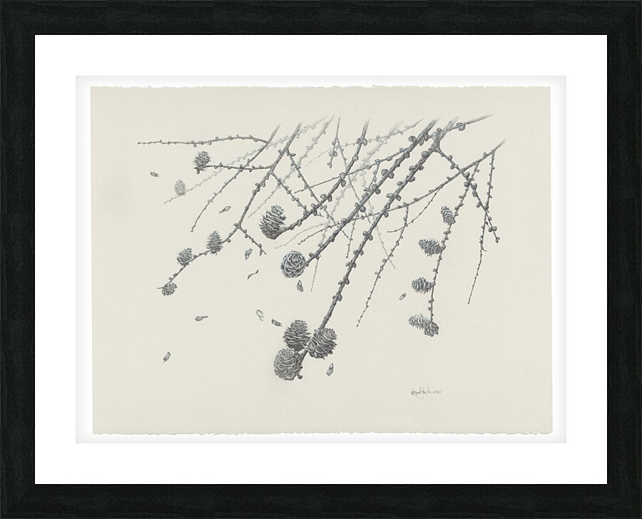 Mélèze Picture Frame print