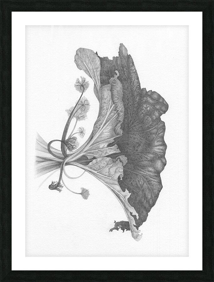 Fragment dun monde inconnu 4 Picture Frame print