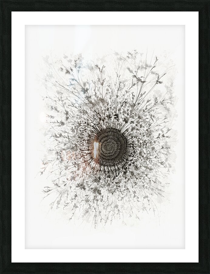 Mandala 1 Picture Frame print