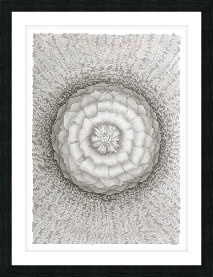 Mandala 2 Picture Frame print