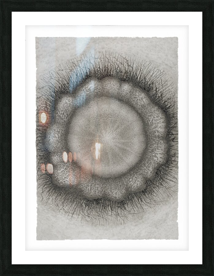 Mandala 5 Picture Frame print
