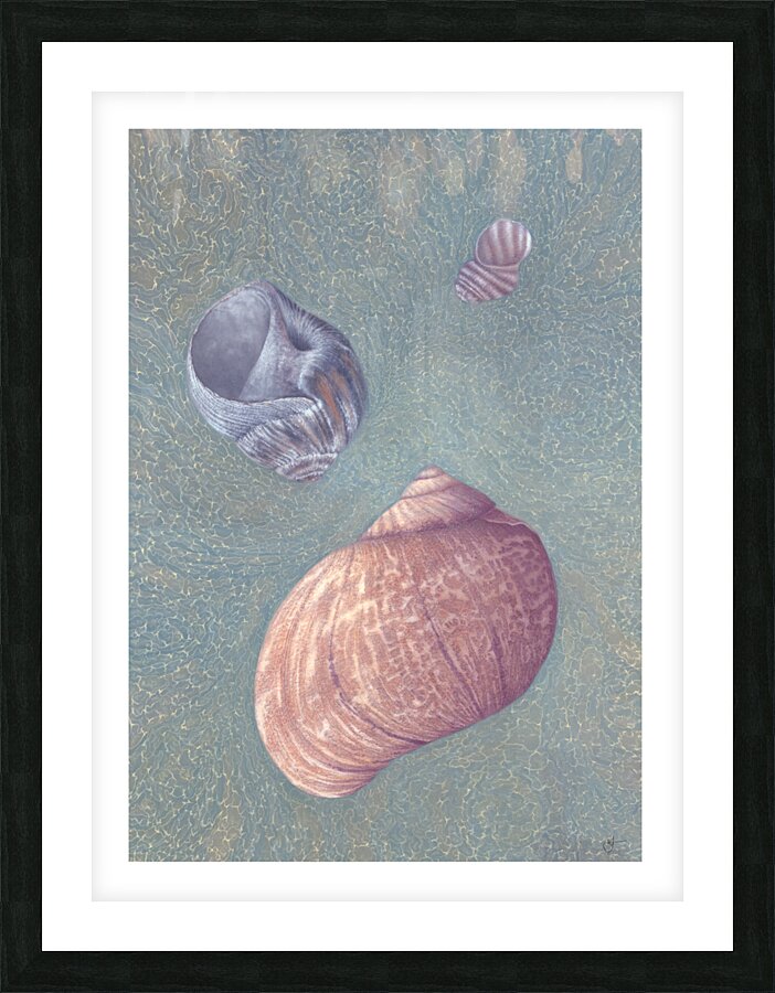 Borlicoco Picture Frame print