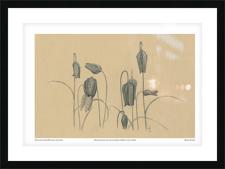 Fritillaria Picture Frame print