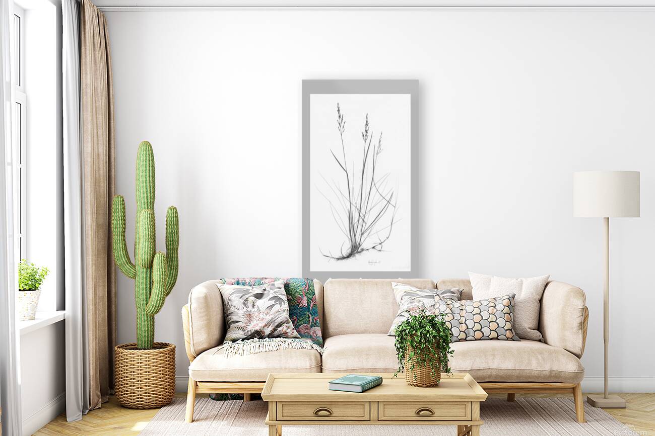 Poa labradorica Reproduction