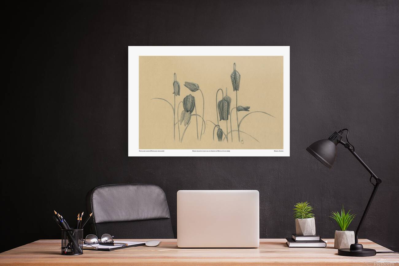 Fritillaria Reproduction